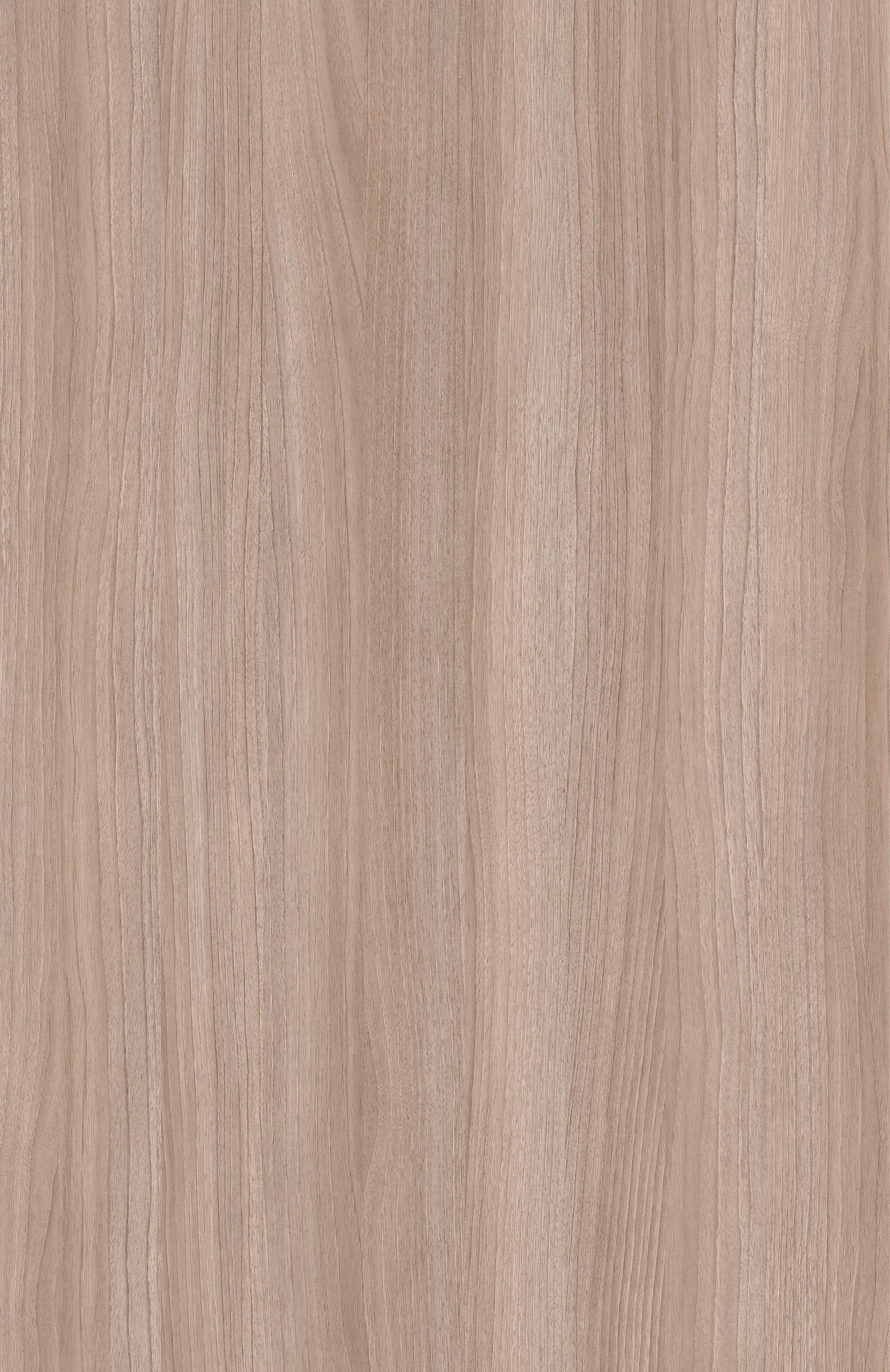 TI 0150 VA ( Kacang Kenari Rakyat )